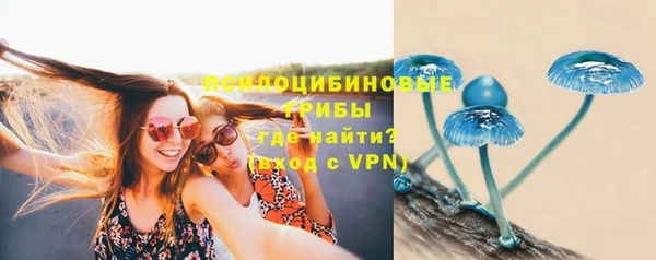 МДПВ Белокуриха