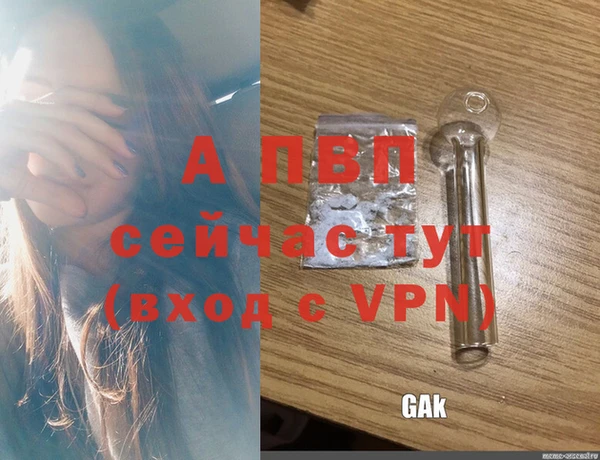 spice Белоозёрский